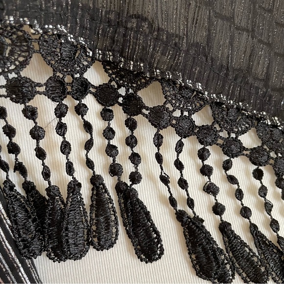 Black and Metallic Silver Scarf with Embroidered Lace Fringe - Picture 5 of 5